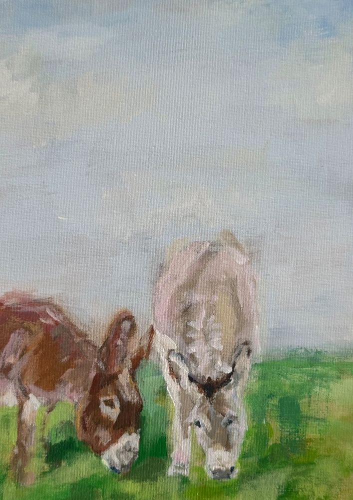 Two donkeys grazing in a green meadow