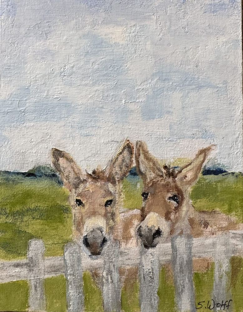 Two donkeys behind a white picket fence
