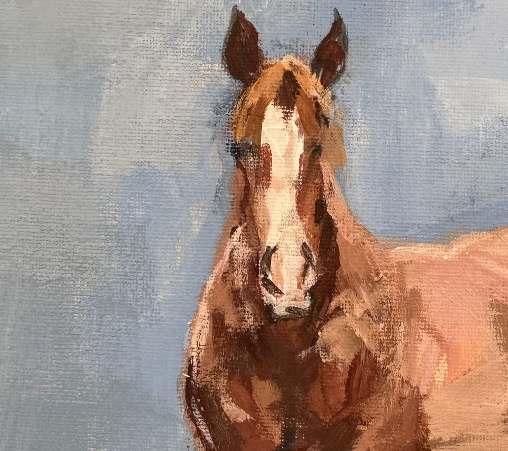 Close-up of a chestnut horse with a white blaze against a blue background