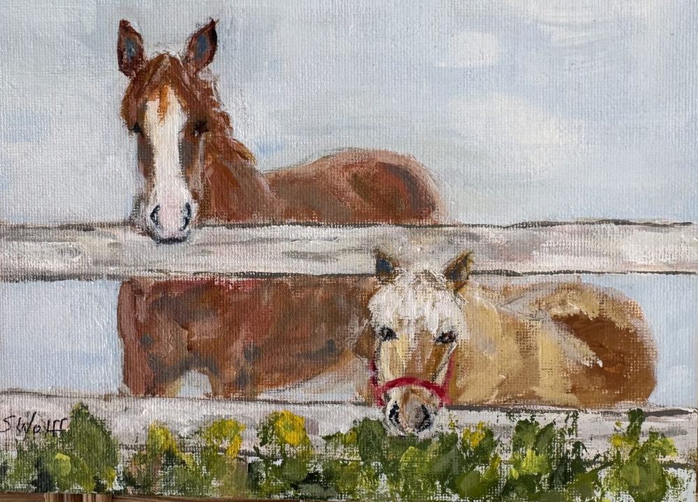 Two horses at a white fence with yellow flowers in front