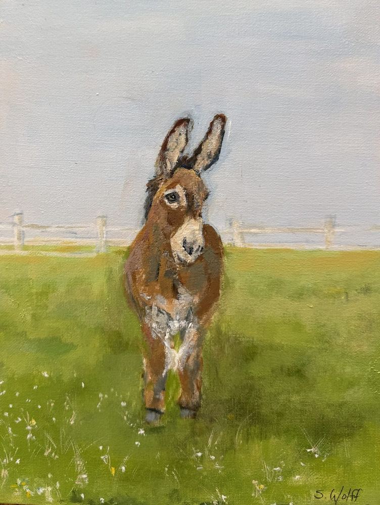 A brown donkey standing in a green field with a white fence behind