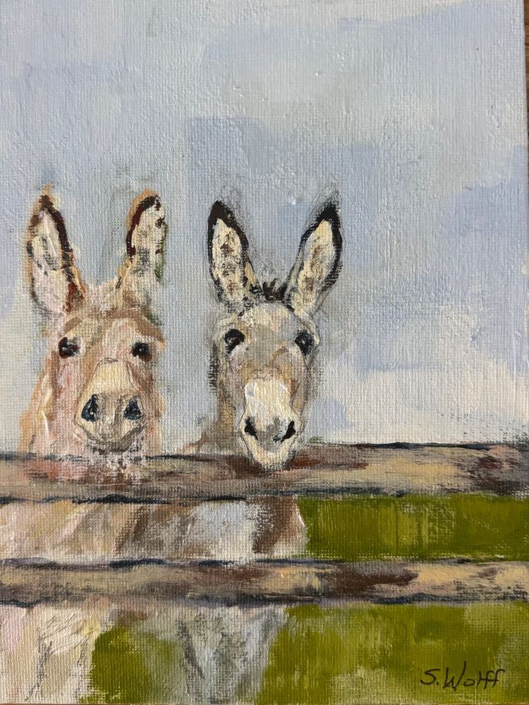 Two pale donkeys peering over a rustic fence