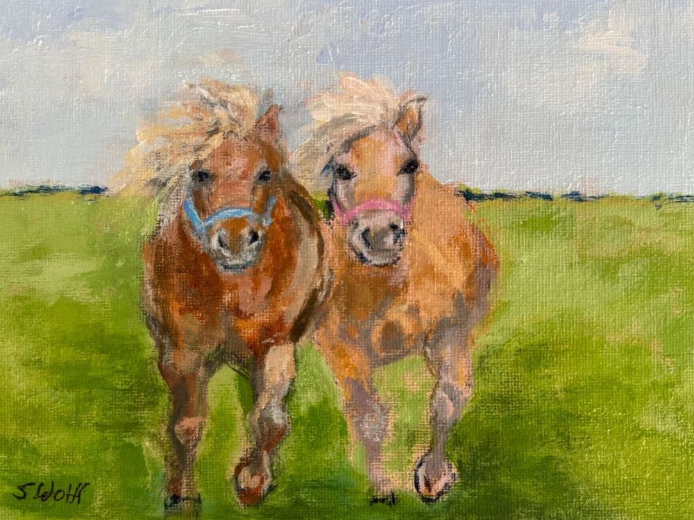 Two miniature horses with blue and pink halters trotting through a green field