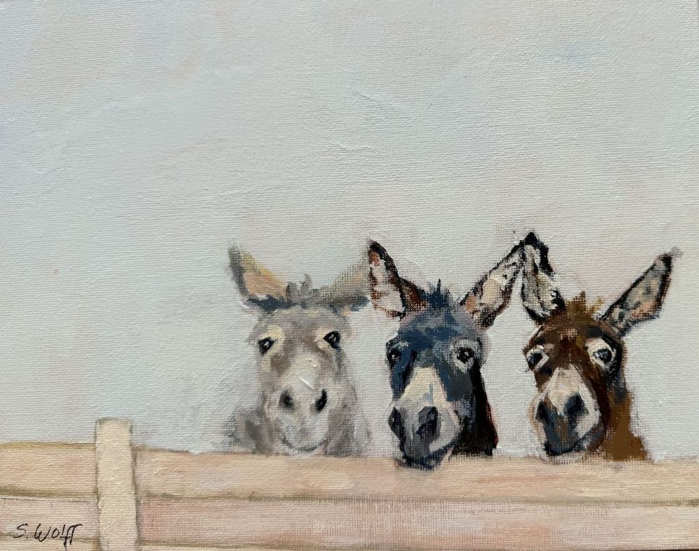 Three donkeys, gray, blue-black and brown, peeking over a wooden fence